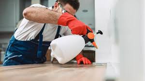 Best Pest Exclusion Services  in Winchester, IL